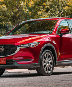 thuê xe đi vĩnh long